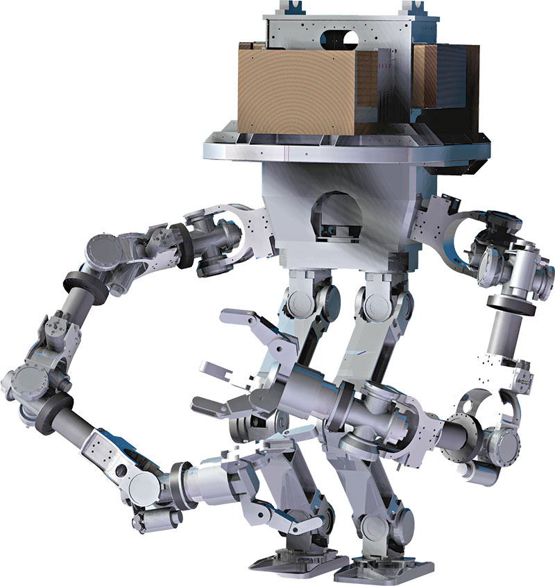Forex robot software