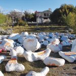 Plaster-jacketed dinosaur bones at Estancia Bon Accord (a ranch in Patagonia), awaiting transportation to the port.