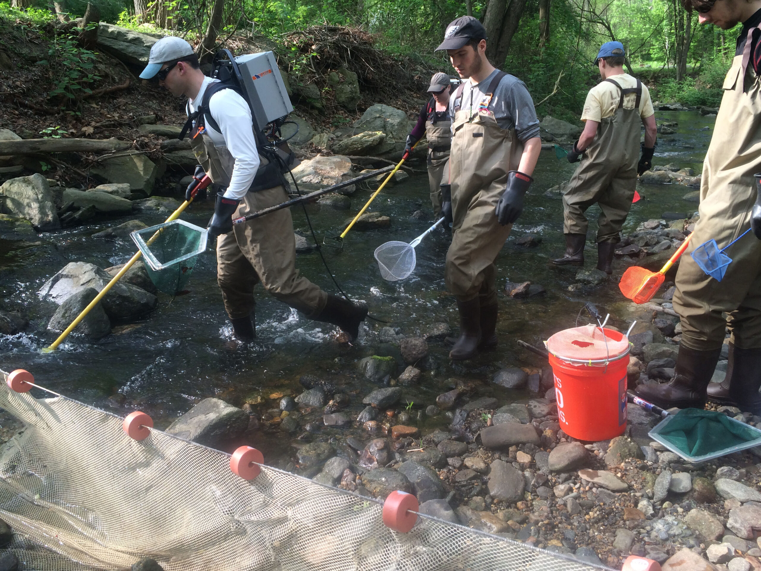 academy scientists in cobbs creek