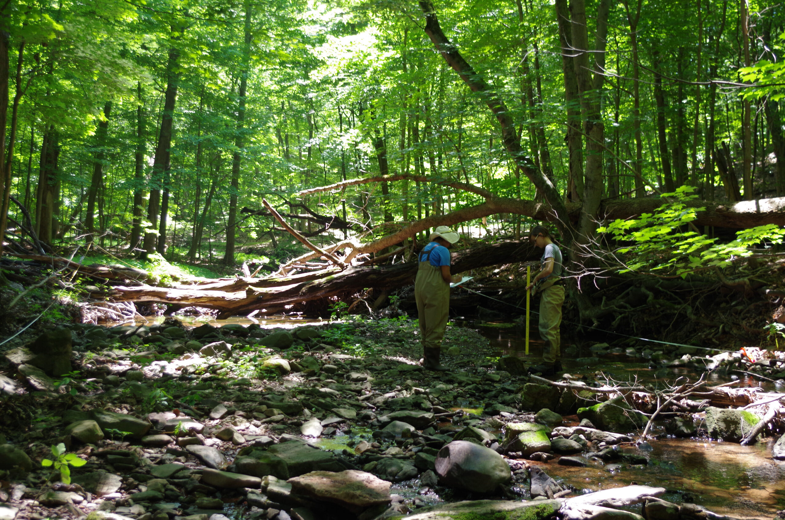 scientists sampling algae