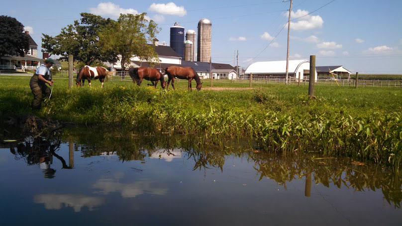 a stream at a farm