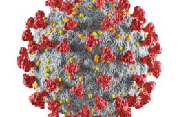 Digital rendering of COVID-19 virus