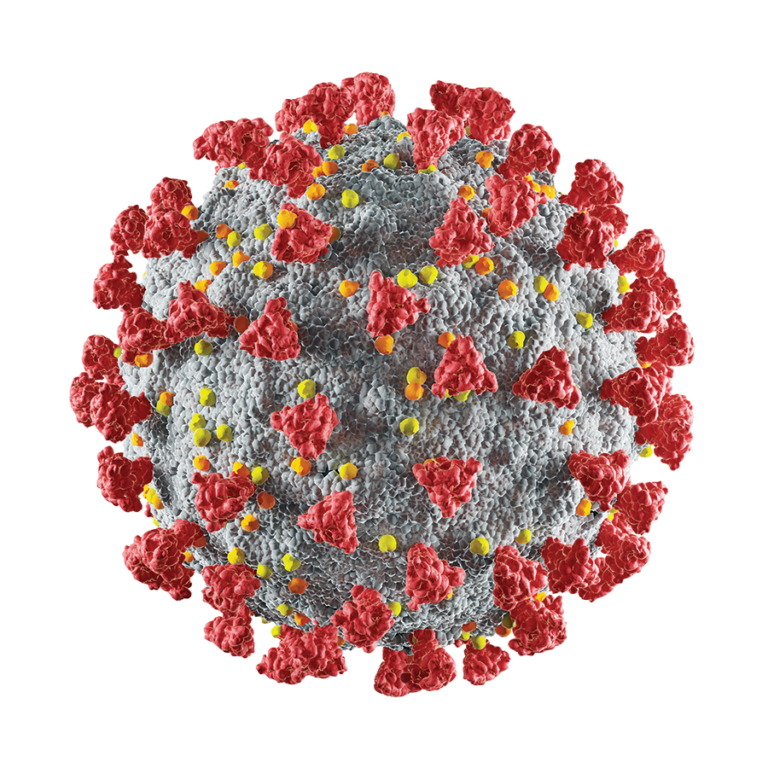 Digital rendering of COVID-19 virus