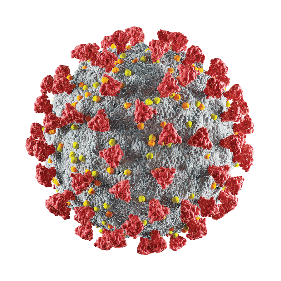 Digital rendering of COVID-19 virus